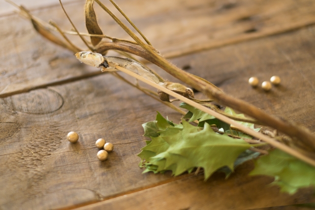 節分は２月３日…は今年まで!?