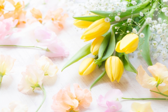 春物アイテム入荷のお知らせ☆