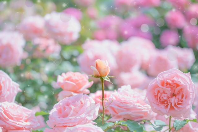 店舗オープンのお知らせ☆