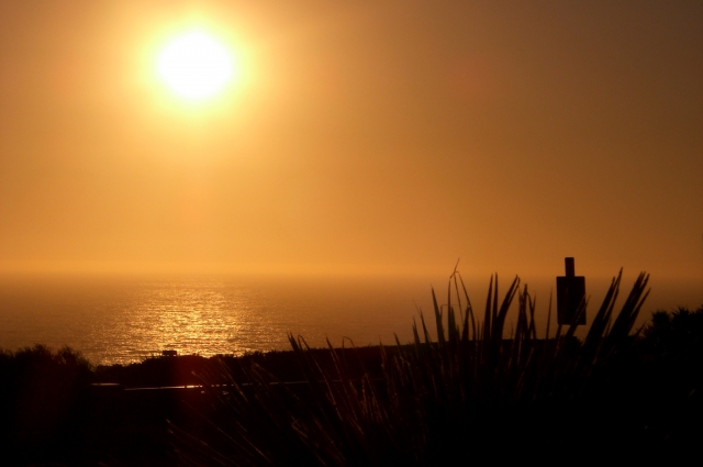 もうすぐ立秋☆