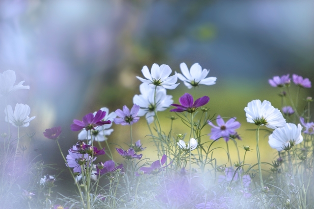 秋物アイテム入荷のお知らせ☆