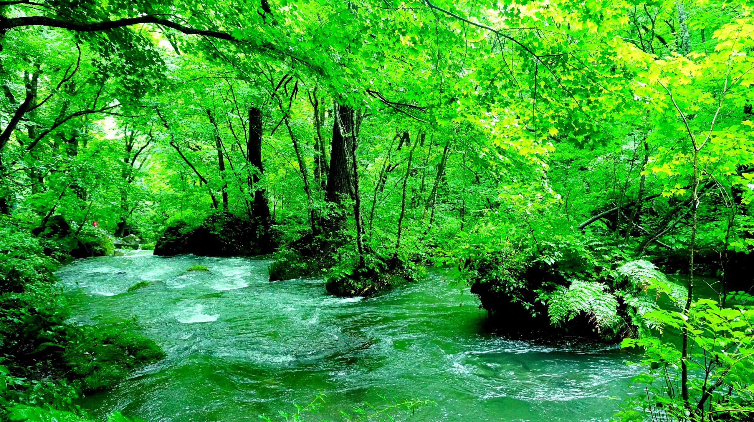 夏物アイテム入荷のお知らせ☆