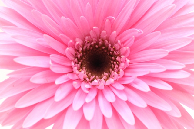 営業再開のお知らせ☆