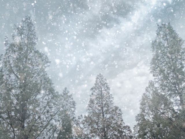 積雪による営業変更のお知らせ