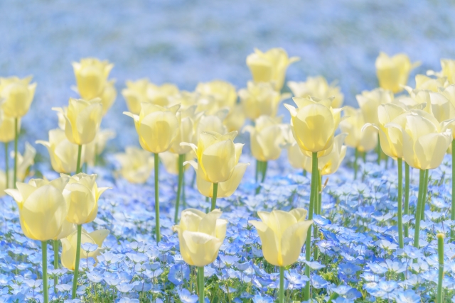 移転先のお知らせ