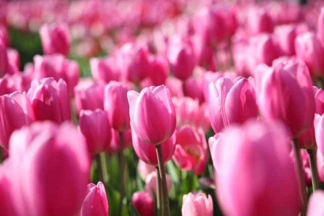 「周年イベント」のお知らせ♪